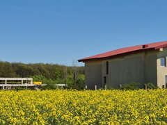 Ciolpani, COR